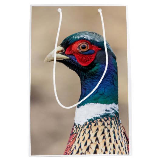 Portrait eines Fasans Mittlere Geschenktüte (Vorderseite)