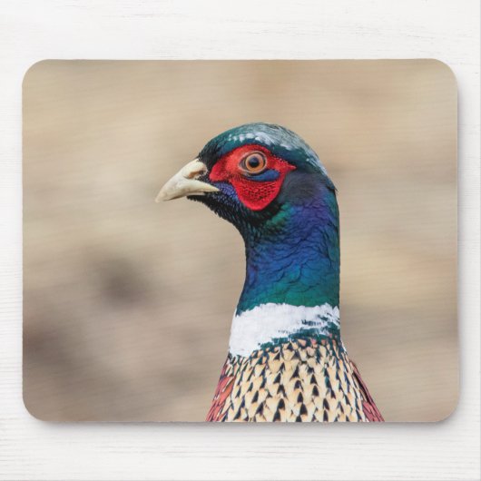 Portrait eines Fasans Mousepad (Vorne)