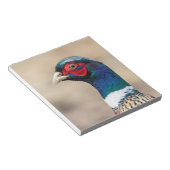 Portrait eines Fasans Notizblock (angewinkelt)