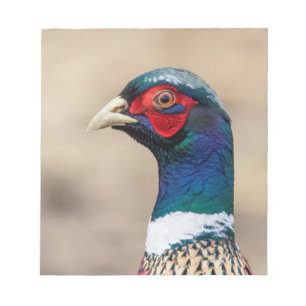 Portrait eines Fasans Notizblock