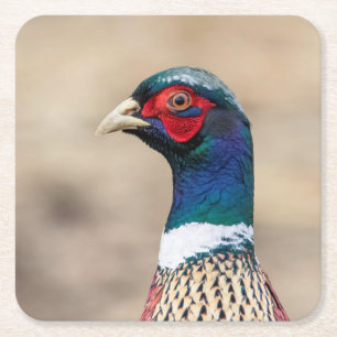 Portrait eines Fasans Rechteckiger Pappuntersetzer