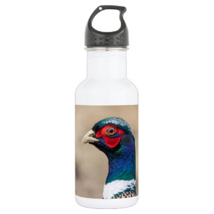 Portrait eines Fasans Trinkflasche