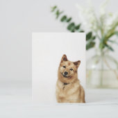 Portrait eines finnischen Spitz-Hundes, der lächel Postkarte (Stehend Vorderseite)