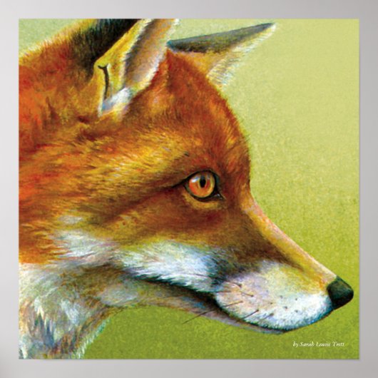 Portrait eines Fox Fine Art Poster Prints (Vorne)