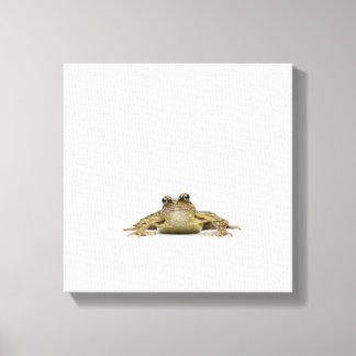 Portrait eines Frosches in einem weißen Studio Leinwanddruck