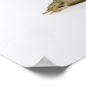 Portrait eines Frosches in einem weißen Studio Poster (Ecke)