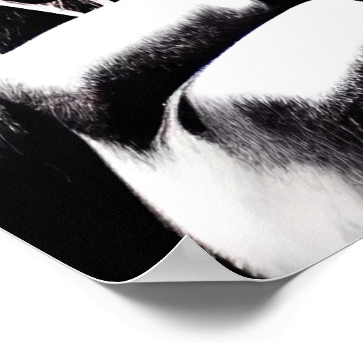 Portrait eines glücklichen Skeletts | AI Art Poste Poster (Ecke)