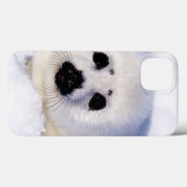 Portrait eines Harp Siegel Pup Case-Mate iPhone Hülle (Rückseite (Horizontal))
