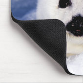 Portrait eines Harp Siegel Pup Mousepad (Ecke)