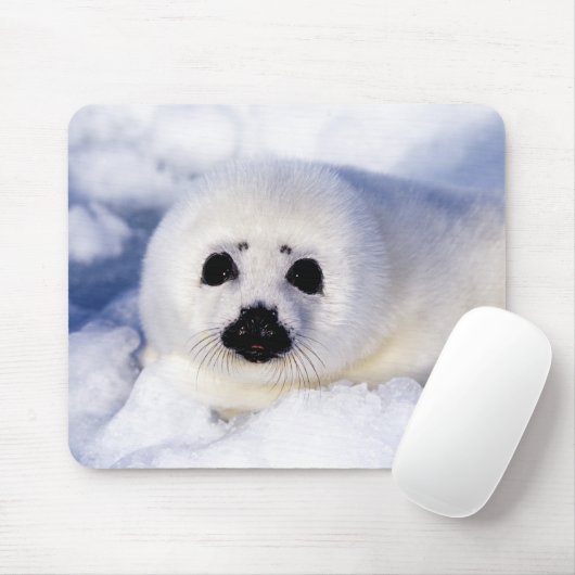 Portrait eines Harp Siegel Pup Mousepad (Mit Mouse)
