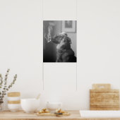 Portrait eines Hundes, 1923. Vintages Foto Poster (Küche)