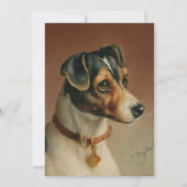 Portrait eines Jacks Russel Terrier | Carl Reicher (Vorderseite)