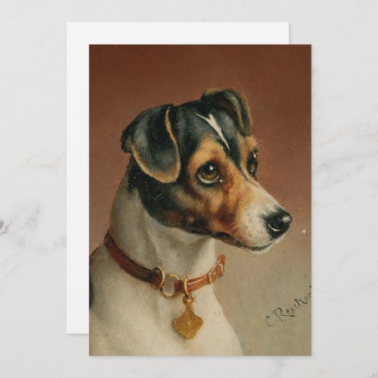 Portrait eines Jacks Russel Terrier | Carl Reicher (Vorne/Hinten)