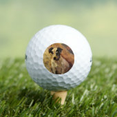 Portrait eines Jacks Russell Dog (Tierart) Golfball (Insitu T-Shirt)