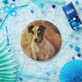 Portrait eines Jacks Russell Dog (Tierart) Pappteller (Party)