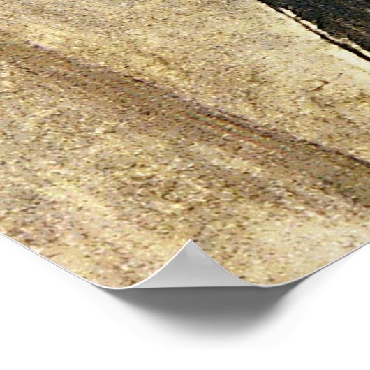 Portrait eines jungen Mannes - Amedeo Modigliani Poster (Ecke)