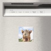 Portrait eines Kamels Magnet (In Situ (Geschirrspüler))