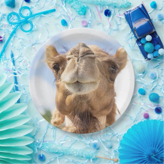 Portrait eines Kamels Pappteller (Party)