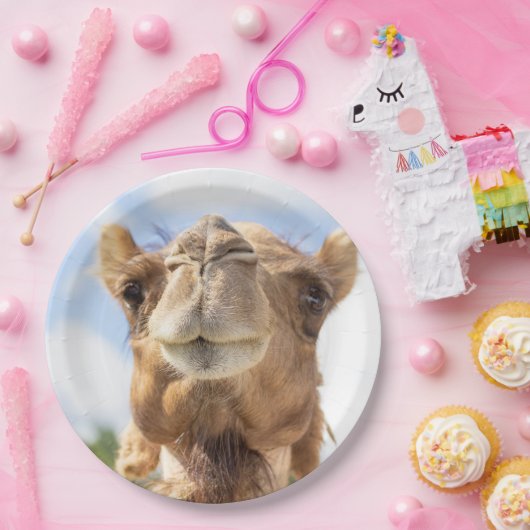Portrait eines Kamels Pappteller (Party)