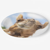 Portrait eines Kamels Pappteller (Schrägansicht)