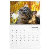 Portrait eines Katalogs - HAMbyWG Kalender (Mär 2026)