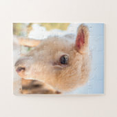 Portrait eines kleinen Lammes Puzzle (Horizontal)