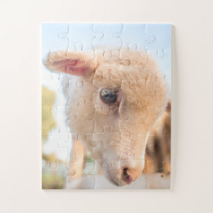 Portrait eines kleinen Lammes Puzzle