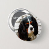 Portrait eines Königs Charles Cavalier Spaniel Button (Vorne & Hinten)
