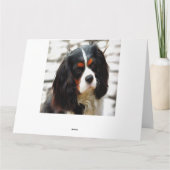 Portrait eines Königs Charles Cavalier Spaniel Dankeskarte (Rückseite)