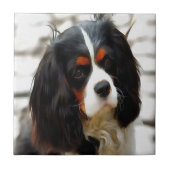 Portrait eines Königs Charles Cavalier Spaniel Fliese (Vorderseite)