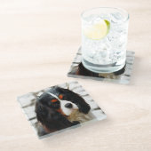 Portrait eines Königs Charles Cavalier Spaniel Glasuntersetzer (Schrägansicht)