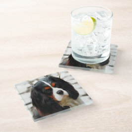 Portrait eines Königs Charles Cavalier Spaniel Glasuntersetzer