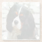 Portrait eines Königs Charles Cavalier Spaniel Glasuntersetzer (Rückseite)