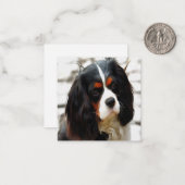 Portrait eines Königs Charles Cavalier Spaniel Mitteilungskarte (Vorderseite/Rückseite Beispiel)