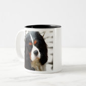 Portrait eines Königs Charles Cavalier Spaniel Zweifarbige Tasse (Vorderseite Links)