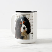 Portrait eines Königs Charles Cavalier Spaniel Zweifarbige Tasse (Vorderseite Links)