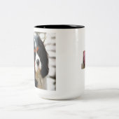 Portrait eines Königs Charles Cavalier Spaniel Zweifarbige Tasse (Mittel)