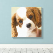 Portrait eines Königs Charles Spaniel-Welpen Leinwanddruck (Insitu (Holzboden))