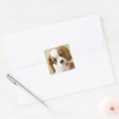 Portrait eines Königs Charles Spaniel-Welpen Quadratischer Aufkleber (Umschlag)