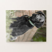 Portrait eines Labraphiers Puzzle (Horizontal)