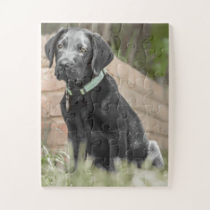 Portrait eines Labraphiers Puzzle