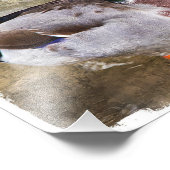 Portrait eines männlichen Stockwerks Fotodruck (Ecke)