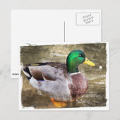 Portrait eines männlichen Stockwerks Postkarte (Vorne/Hinten)