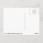 Portrait eines männlichen Stockwerks Postkarte (Rückseite)