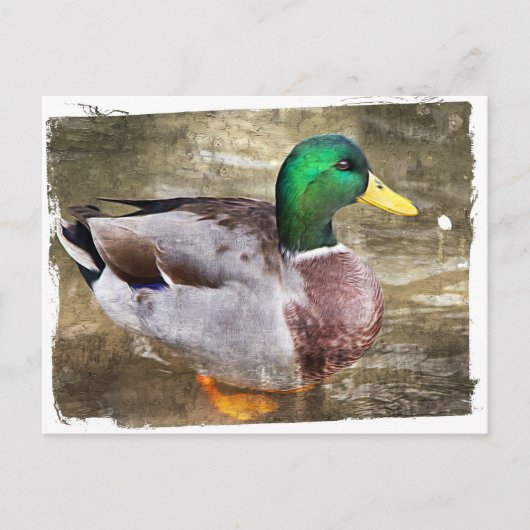 Portrait eines männlichen Stockwerks Postkarte (Vorderseite)