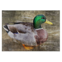 Portrait eines männlichen Stockwerks