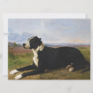 Portrait eines Mastiff Labrador Hundes (Rosa Bonhe Karte