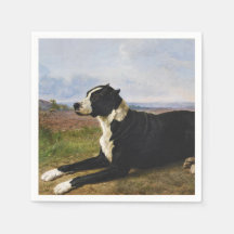 Portrait eines Mastiff Labrador Hundes (Rosa Bonhe