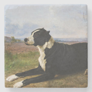 Portrait eines Mastiff Labrador Hundes (Rosa Bonhe Steinuntersetzer