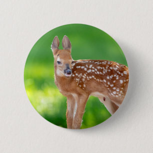 Portrait eines Neugeborenen (Weißschwanzhirsche) Button